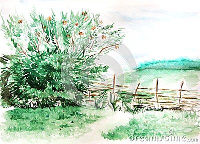 Watercolor countryside field wood forest nature landscape Stock Photo