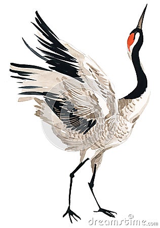 Watercolor crane bird Cartoon Illustration