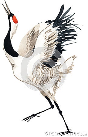 Watercolor crane bird Cartoon Illustration