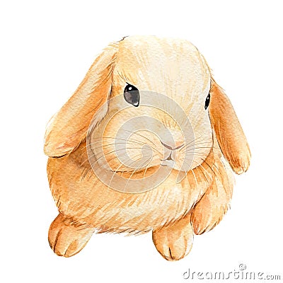 Watercolor cute bunny on an isolated white background Cartoon Illustration