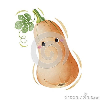 Watercolor cute butternut cartoon character. Vector illustration Vector Illustration