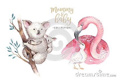 Watercolor cute cartoon illustration with cute mommy flamingo and baby, flower leaves. koala Mother and baby Cartoon Illustration