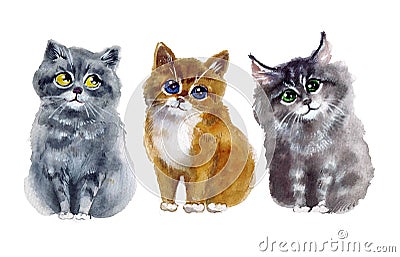 Watercolor cute cats on the white background Cartoon Illustration