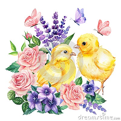 Watercolor cute chicken and lavender flowers, bluebells, roses and butterflies on a white background, floral postcard Cartoon Illustration