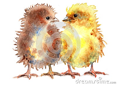 Watercolor Cute Chicks couple Stock Photo