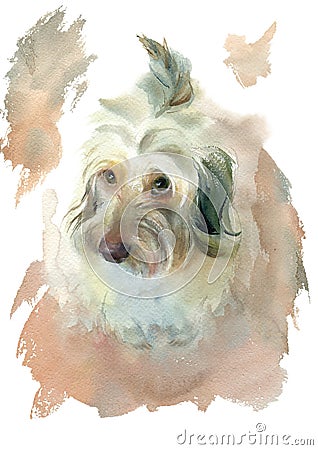 Watercolor cute dog with pleading eyes. Stock Photo