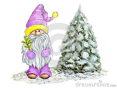 Watercolor Cute Gnome with Christmas Tree. Little Gnome in funny hat with spruce. Holidays elf for New year greetings card or Stock Photo