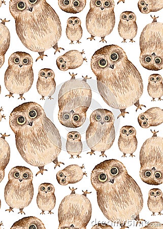 Watercolor cute owls pattern. Birds background Cartoon Illustration