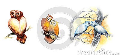 Watercolor cute owls Stock Photo