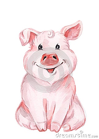 Watercolor cute pig Cartoon Illustration