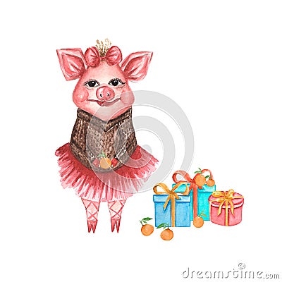 Watercolor cute pink pig with boxes of presents isolated on whitebackground.perfect for card,birthday invitations textile,etc Cartoon Illustration