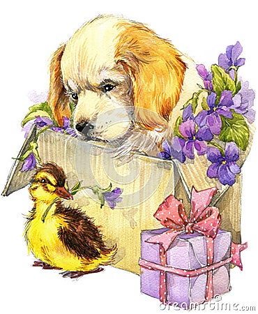 Watercolor cute puppy and little bird, gift and flowers background Stock Photo