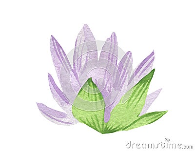 Watercolor cute purple water lily with green leaves on white isolated background.Mystical and botanical Cartoon Illustration
