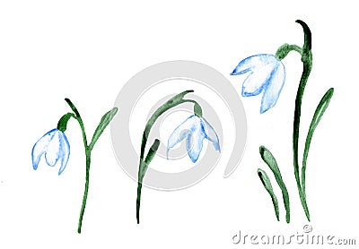 Watercolor cute Snowflakes Flowers Illustration Cartoon Illustration