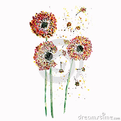 Watercolor dandelion flower abstract background. hand watercolor.perfect for cards, cover, textile, etc. Cartoon Illustration