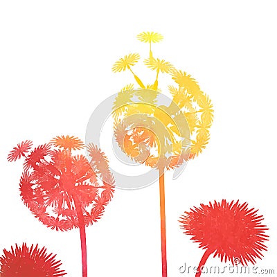 Watercolor dandelion background Vector Illustration
