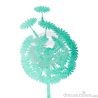 Watercolor dandelion Vector Illustration