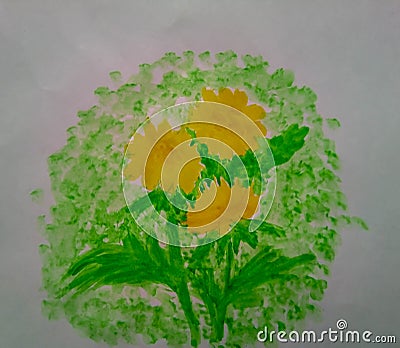 Watercolor dandelions paint floral nature Cartoon Illustration