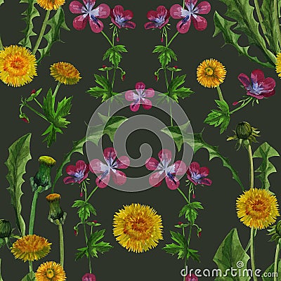 Watercolor dandelions wildflowers seamless texture pattern background Cartoon Illustration