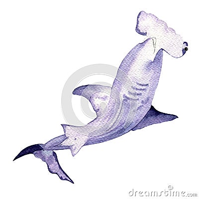 Watercolor danger sea animal hammerhead shark isolated on white background Cartoon Illustration
