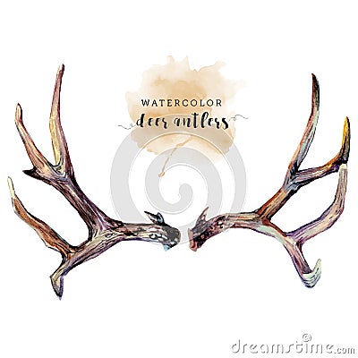 Watercolor Deer Antlers Vector Illustration