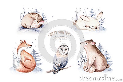 Watercolor winter forest animals deer with fawn, owl rabbits, bear birds on white background. Wild forest fox and squirrel animals Cartoon Illustration