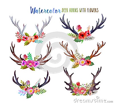 Watercolor deer horns Stock Photo