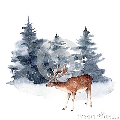 Watercolor deer in winter forest. Hand painted Christmas illustration with animal and fir trees isolated on white Cartoon Illustration