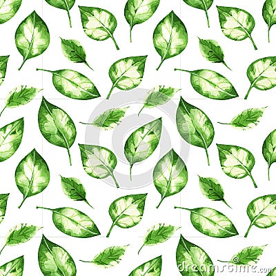 Watercolor delicate tropical leaves seamless pattern. Stock Photo