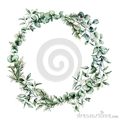 Watercolor different eucalyptus wreath. Hand painted eucalyptus branch and leaves isolated on white background. Floral Cartoon Illustration