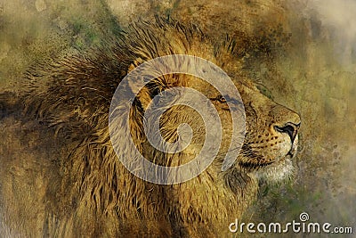 Watercolor Digital Painting Of Lion Head Stock Photo