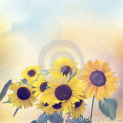 Watercolor digital painting of sunflowers Cartoon Illustration