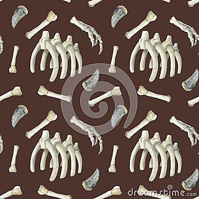 Watercolor dinosaur fossil bones seamless pattern with realistic Tyrannosaurus teeth, hand, ribs on brown background Stock Photo
