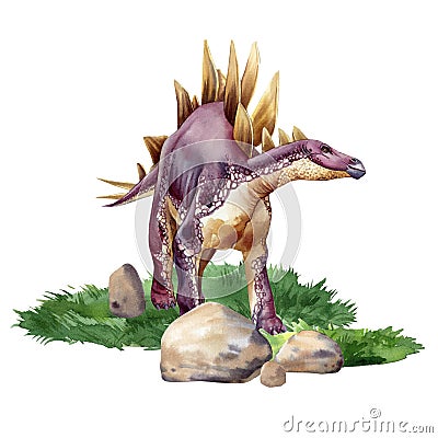 Watercolor dinosaur isolated on white background. Stegosaurus illustration. Dinosaur on landscape Cartoon Illustration
