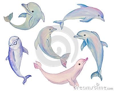 Watercolor dolphin on a white background. Beautiful colorful dolphin. Inhabitant in the waters of the oceans. Dolphin Stock Photo