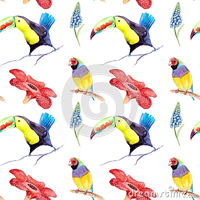 Watercolor drawing of birds - toucan and guldova amadina, gould finch - seamless pattern Stock Photo