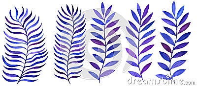 Watercolor drawing blue leaves Cartoon Illustration