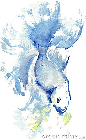 Watercolor drawing of a blue Siamese fighting fish Stock Photo