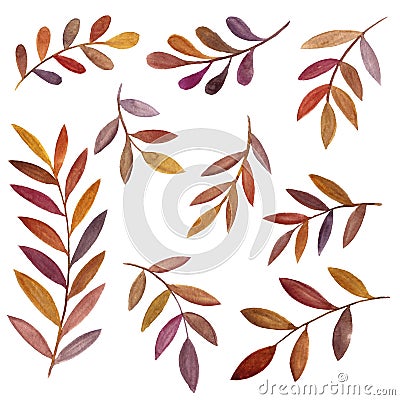 Watercolor drawing brown leaves Cartoon Illustration