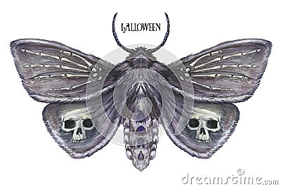 Watercolor drawing of a butterfly night butterfly, a terrible butterfly on a Halloween holiday with a skull on its wings and bone Vector Illustration