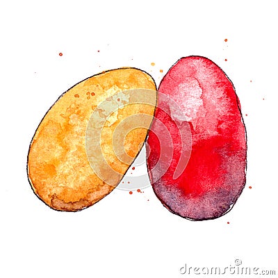 Watercolor drawing colored Easter eggs on a white background Cartoon Illustration