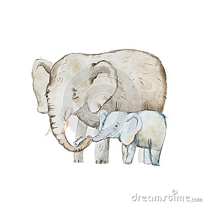 Watercolor drawing of elephant family, mother and calf Stock Photo