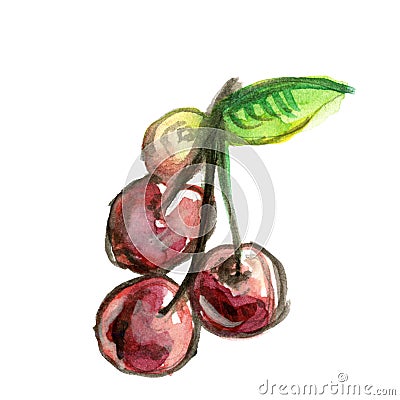 Watercolor drawing of four ripe cherries on a leg with a leaf isolated on a white background Stock Photo