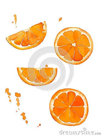 Watercolor drawing of orange, pieces of fruit. Summer tropical food Stock Photo
