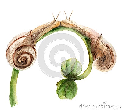 Watercolor drawing two snails in love, hugs, kiss Stock Photo