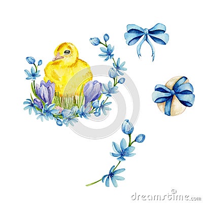 Watercolor easter flowers and chicken set: yellow easter chick, blue flowers, blue bow, egg with bow Cartoon Illustration