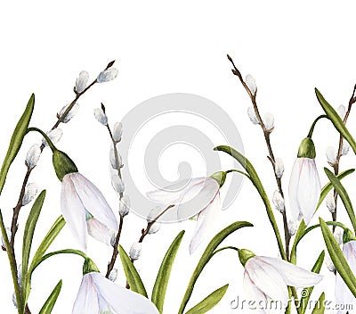 Watercolor easter illustration of bouquet of snowdrops, branches of pussy-willow, horizontal banner on white background Cartoon Illustration