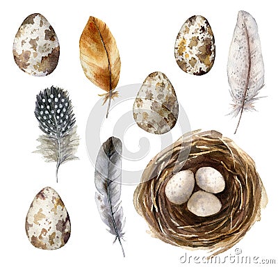 Watercolor easter set with bird nest and eggs. Hand painted orange, striped and polka dot feathers isolated on white Cartoon Illustration