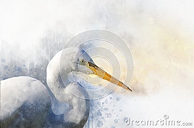 Watercolor Egret. Hand drawn watercolor heron perfect for design greeting card or print Stock Photo