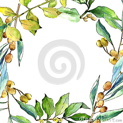 Watercolor elaeagnus green leaves. Leaf plant botanical garden floral foliage. Frame border ornament square. Stock Photo